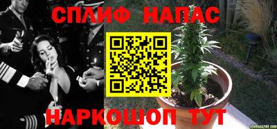 молекула духа Пыть-Ях