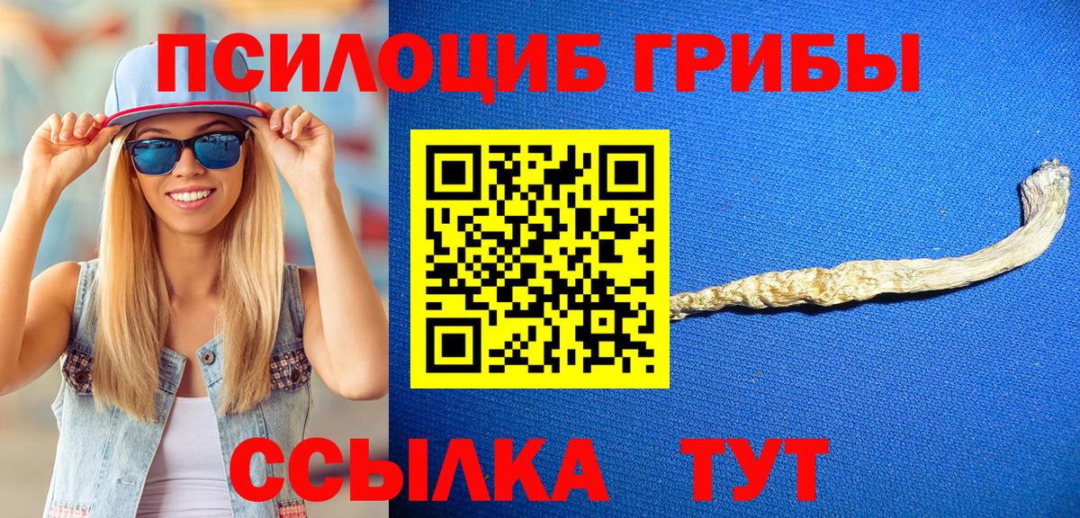Галлюциногенные грибы Cubensis  Псилоцибиновые грибы мухоморы  Вход с VPN  Сибай 